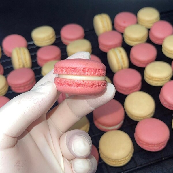 Frische Macarons