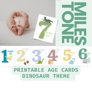 Thème dinosaure - Cartes d'âge imprimables pour bébés avec photo/image - Téléchargement numérique