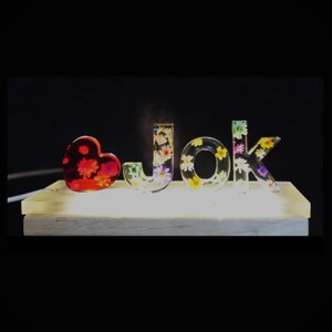 Lámpara de letras personalizada, luz nocturna de flores secas personalizadas, lámpara de resina personalizada, regalo único de decoración del hogar, regalos de mamá, regalo para ella, regalo para él