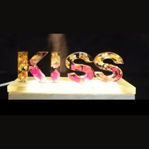 Lámpara de letras personalizada, luz nocturna de flores secas personalizadas, lámpara de resina personalizada, regalo único de decoración del hogar, regalos de mamá, regalo para ella, regalo para él