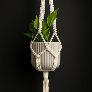 May include: A white macrame plant hanger with a green plant in a white ceramic pot. The hanger is hanging from the top of the image and the plant is in the centre of the image.