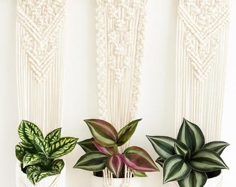 Macetero colgante de macramé triple / Macetero colgante de interior / Decoración bohemia para el hogar / Macetero de macramé / Regalo de inauguración de la casa / Macetero hecho a mano