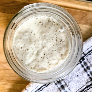 Dehydrated Sourdough Starter image 2