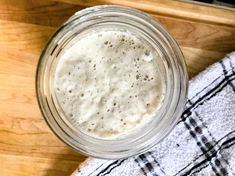 Dehydrated Sourdough Starter image 2