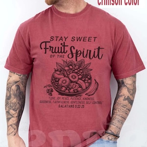 Camiseta Fruto do Espírito - Camiseta cristã para mulheres e homens - Roupas de fé vintage - Camiseta com versículos bíblicos, presente religioso estético para ela e ele - Ayalga
