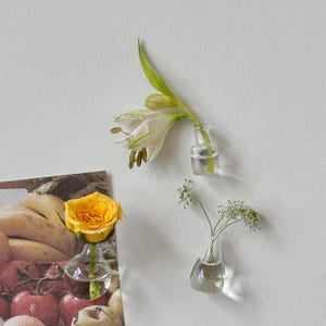 K&ouml;nnte beinhalten: Ein Stillleben mit kleinen Glasvasen, die frische Blumen enthalten. Eine gelbe Rose, wei&szlig;e Lilien und zarte wei&szlig;e Bl&uuml;ten werden pr&auml;sentiert. Die Vasen sind vor einem wei&szlig;en Hintergrund platziert, was eine minimalistische &Auml;sthetik schafft.