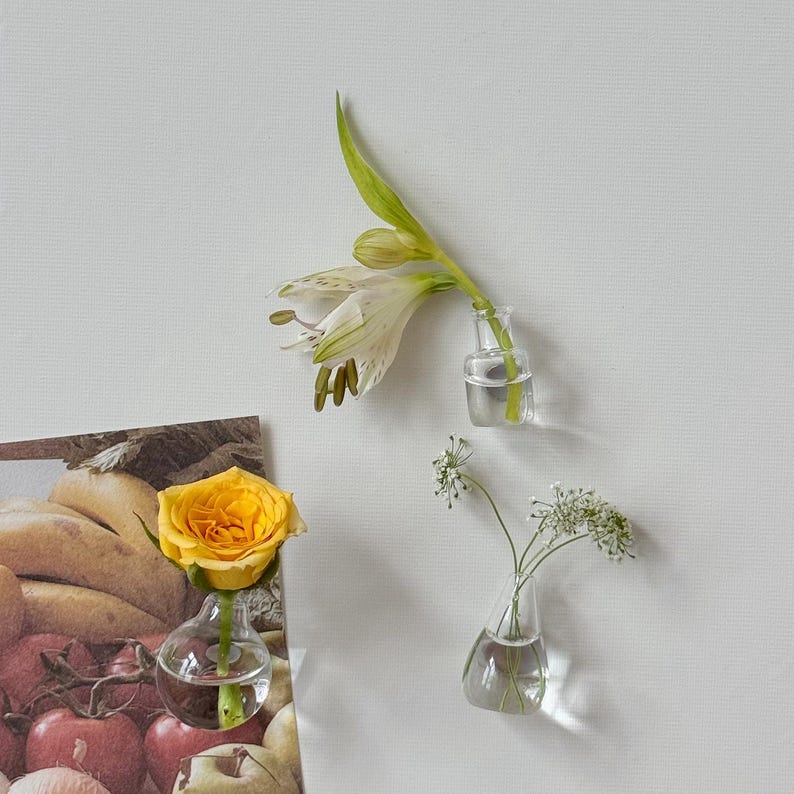 K&ouml;nnte beinhalten: Ein Stillleben mit kleinen Glasvasen, die frische Blumen enthalten. Eine gelbe Rose, wei&szlig;e Lilien und zarte wei&szlig;e Bl&uuml;ten werden pr&auml;sentiert. Die Vasen sind vor einem wei&szlig;en Hintergrund platziert, was eine minimalistische &Auml;sthetik schafft.