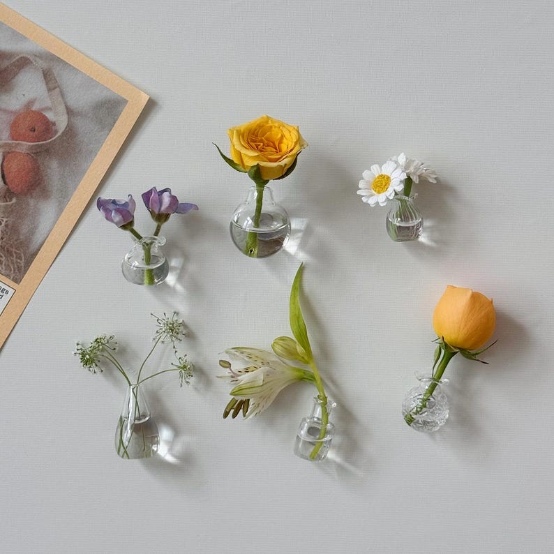 K&ouml;nnte beinhalten: Draufsicht auf sechs kleine, transparente Glas-Bl&uuml;tenvasen, jede mit einer anderen Blume. Zu den Blumen geh&ouml;ren eine gelbe Rose, wei&szlig;e G&auml;nsebl&uuml;mchen, lila Bl&uuml;ten und eine wei&szlig;-gelbe Lilie. Die Vasen sind auf einer wei&szlig;en Oberfl&auml;che angeordnet.