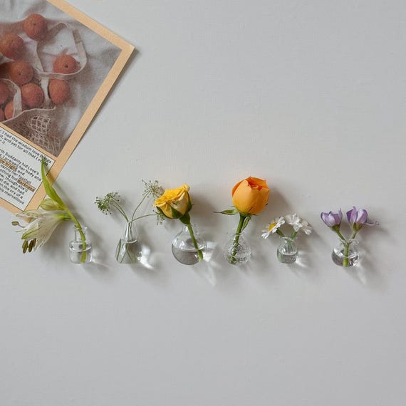 Mini Magnetic Glass Vases for Fridge | Minimalist Home Decor | Small Clear Vases for Dried or Fresh Flowers | Kitchen Decor | Gift for Mom