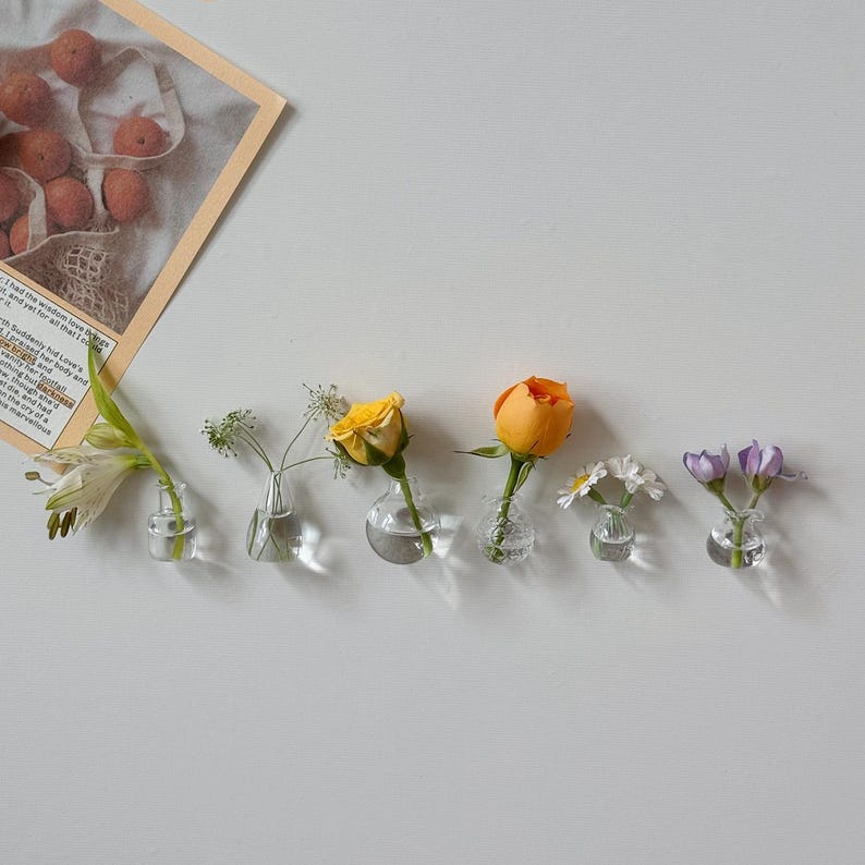 K&ouml;nnte beinhalten: Eine Reihe kleiner Glasvasen, jede mit einer anderen Blume. Die Blumen sind eine wei&szlig;e Lilie, gr&uuml;ne Zweige, eine gelbe Rose, eine orangefarbene Rose, wei&szlig;e G&auml;nsebl&uuml;mchen und lila Blumen. Ein Zeitungsausschnitt befindet sich in der oberen linken Ecke.