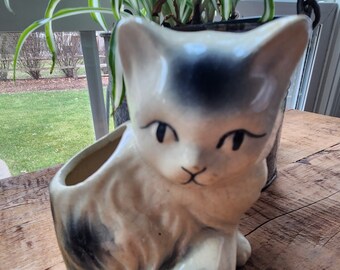 Kitty Planter