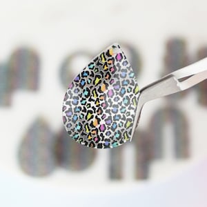 Rainbow Leopard Print Acrylic Earring Blanks: DIY Jewelry