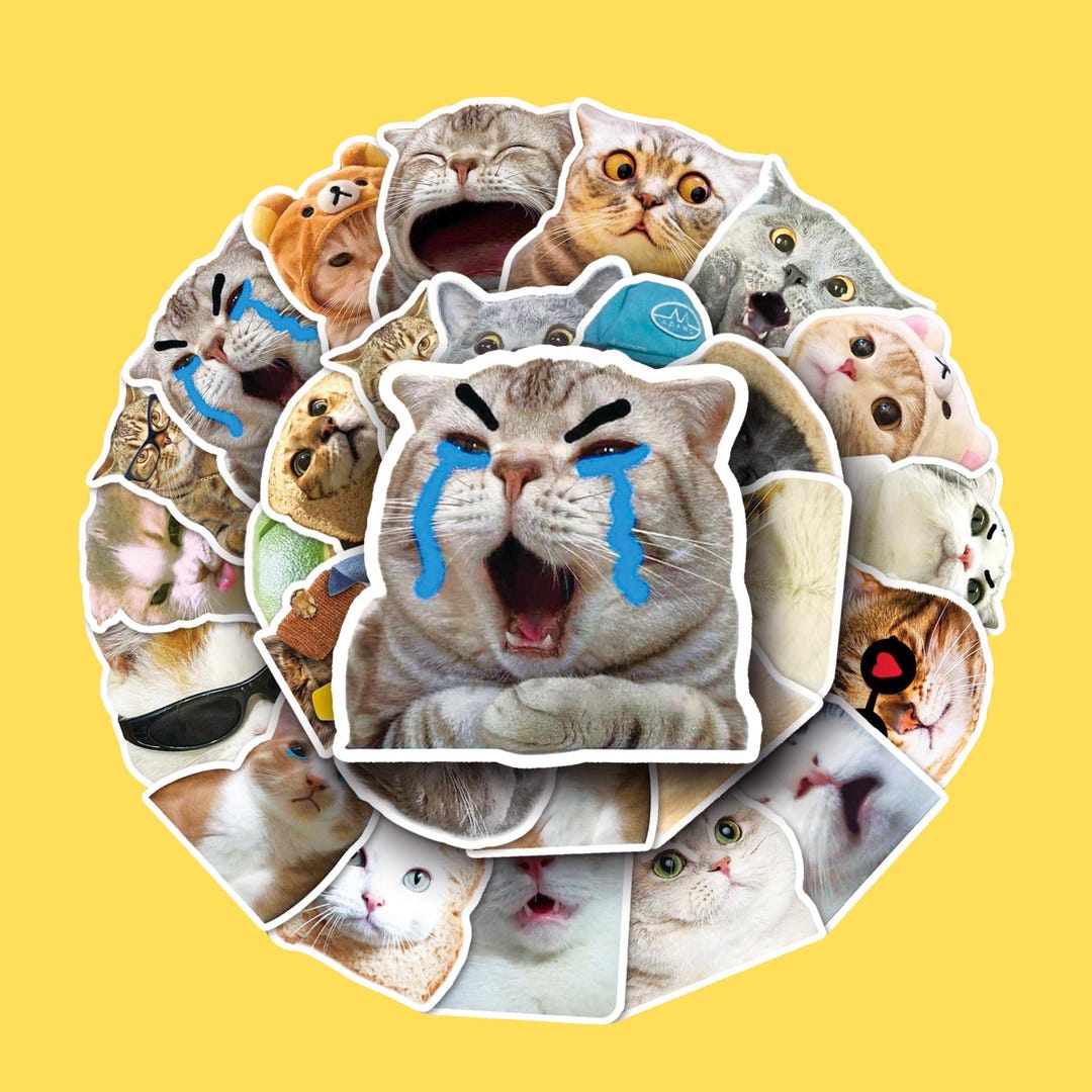 100 Pcs Cat Meme Stickers – Hilarious Waterproof Decals for Phone Case ...