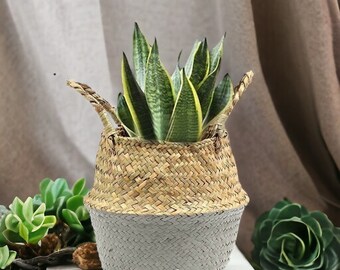 Nordic Rattan Basket made of natural seaweed with handle, decorative basket, portable plant basket, flower basket, Woven Flower Basket