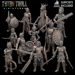 Set of 11 female fighters of all races from TytanTroll Miniatures - Dungeon and Dragons, RPG, DnD, Pathfinder, Tabletop, 32mm