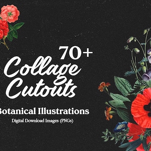 DIY Collage Creator Kit, Flower Clip Art, Botanical Drawing, PNG Cut Out Image Pack, 70 Retro Collage Elements Pack, Photoshop Templates