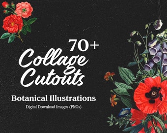 DIY Collage Creator Kit, Flower Clip Art, Botanical Drawing, PNG Cut Out Image Pack, 70 Retro Collage Elements Pack, Photoshop Templates