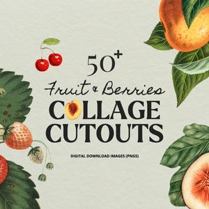 Vintage Fruit Collage Elements, HQ PNG Clipart, Collage Image Bundle, Vintage Collage Images, Retro Collage Maker, DIY Collage Creator Kit