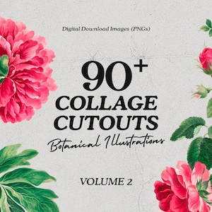DIY Collage Creator Kit, Flower Clip Art, Botanical Drawing, PNG Cut Out Image Pack, 90 Retro Collage Elements Pack, Photoshop Templates
