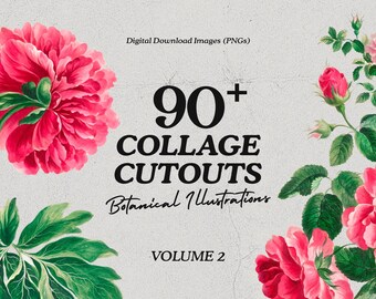 DIY Collage Creator Kit, Flower Clip Art, Botanical Drawing, PNG Cut Out Image Pack, 90 Retro Collage Elements Pack, Photoshop Templates