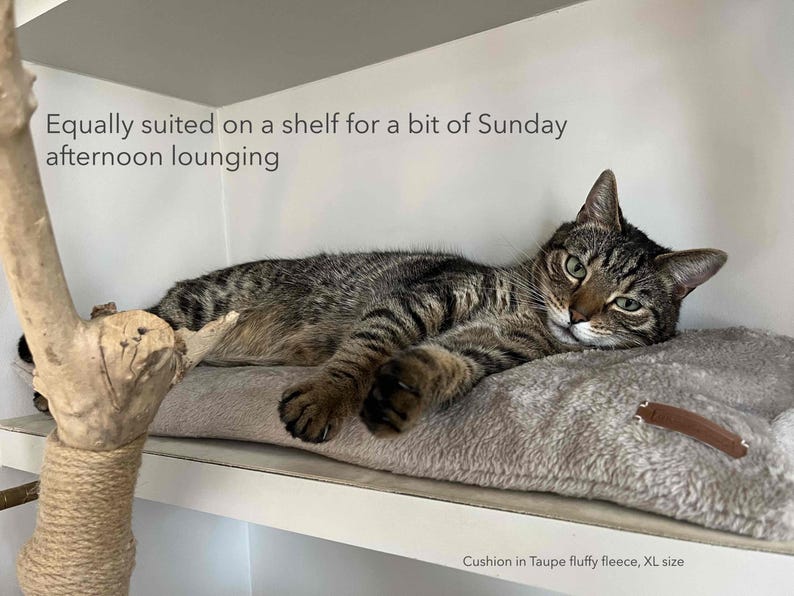 Perfect for a spot of cat lounging on a cat cushion in a shelf