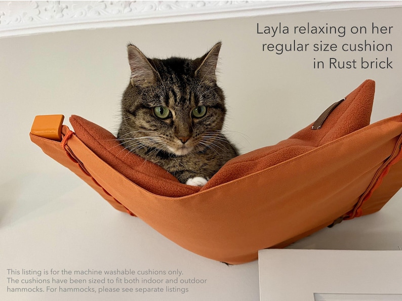 Layla lounging on her fleece cushion