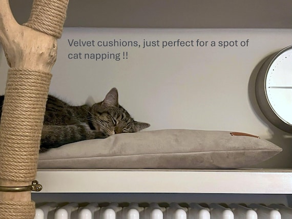 Soft velvet pet cushions for window sills and shelves. Machine washable in a choice of 30+ colours and can be size adjusted on request.