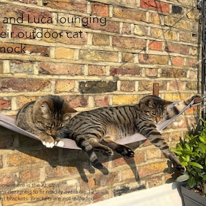 May include: Two tabby cats relaxing in a grey cat hammock hanging from a brick wall. The hammock is labelled "Layla and Luca lounging on their outdoor cat hammock".