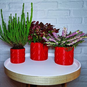 Puede incluir: Tres plantas en maceta en macetas rojas en forma de corazón sobre una mesa blanca con base de madera. Las plantas son verdes, moradas y rosas.