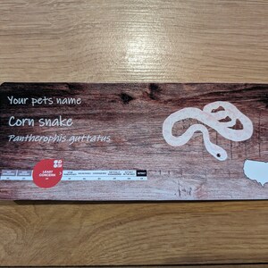 May include: A wooden sign with a white snake illustration and the text "Your pet's name Corn snake Pantherophis guttatus". The sign also includes a red circle with the text "Least Concern" and a map of the United States.