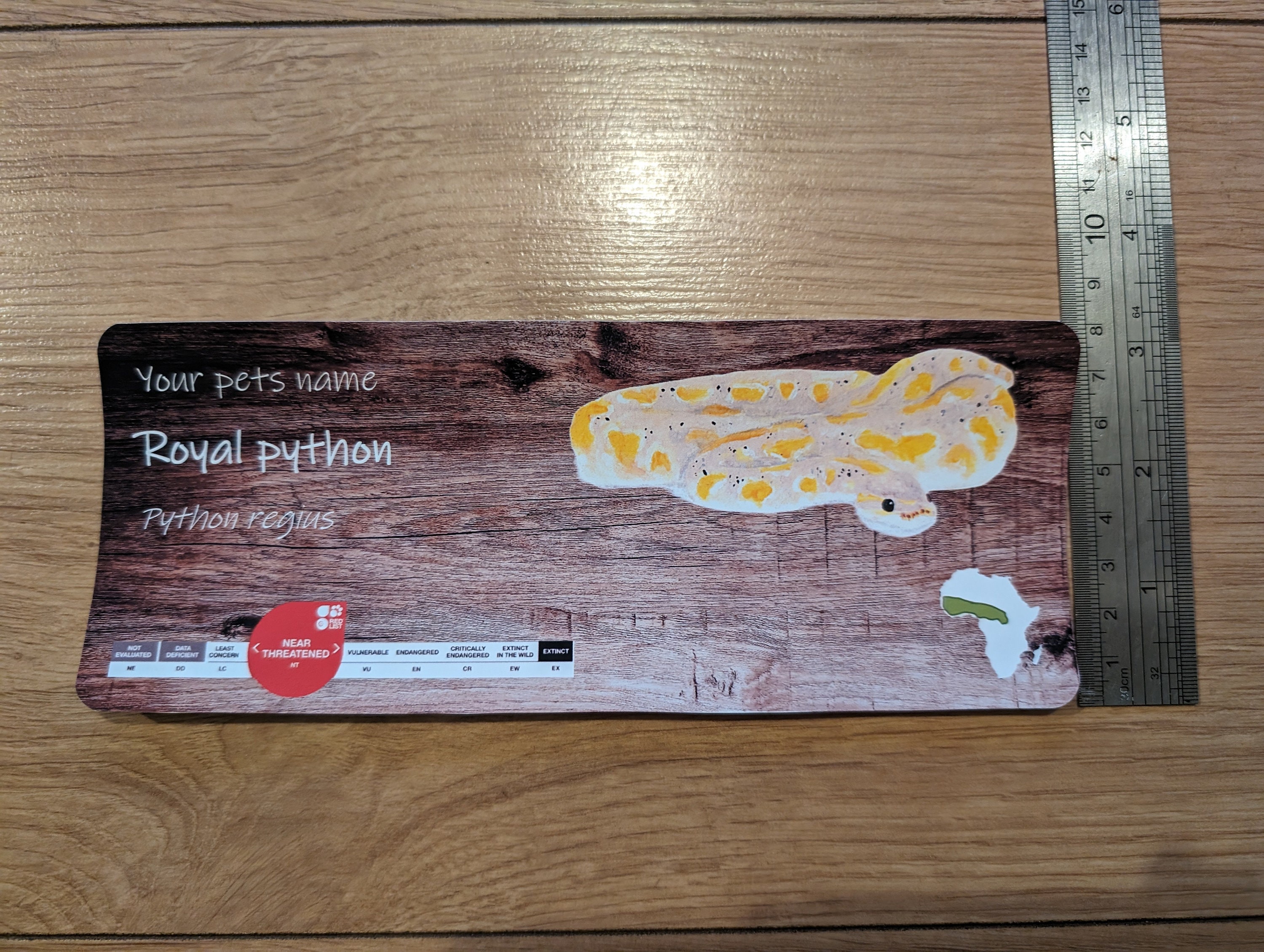 Albino Royal Ball Python Enclosure Zoo Signage Name Tag Sticker Vinyl ...