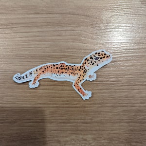 May include: A sticker of a leopard gecko with orange, white and black markings. The gecko is in a running pose with its tail curled up.