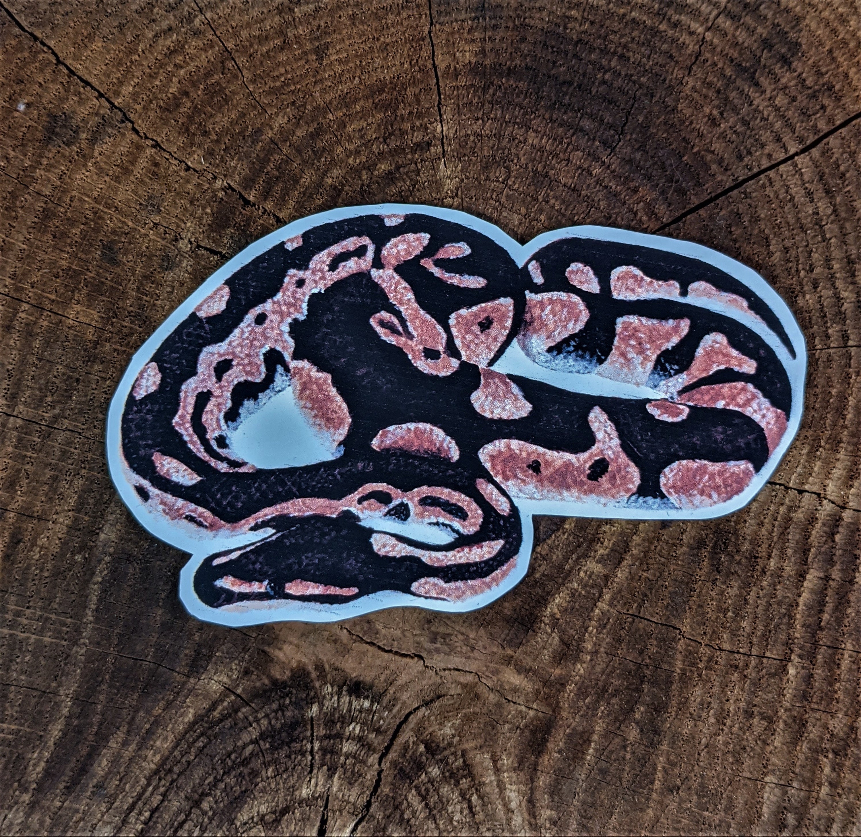 Royal Python Snake Sticker Animal Sticker Hand Painted Acrylic Sticker ...