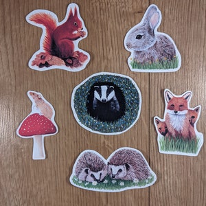 Pack d’autocollants sur la faune britannique, blaireau, renard, écureuil roux, hérisson, lapin, souris des moissons
