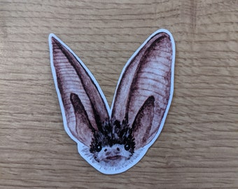 Brown Long Eared Bat Custom Vinyl Sticker Hand Painted Acrylic Sticker
