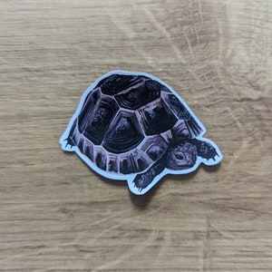 May include: A brown and black tortoise sticker with a detailed shell pattern. The sticker is on a light brown wooden surface.