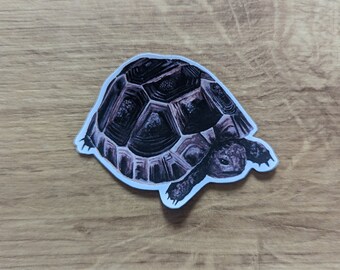 Hermann&#39;s Tortoise Name Tag Sticker Vinyl Animal Sticker Hand Painted Acrylic Sticker Pet Portrait Pet Name Tags