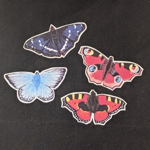 May include: Four colorful butterfly stickers on a black background. The butterflies are a dark blue with white markings, a light blue, a red with black markings, and a red with black and yellow markings.
