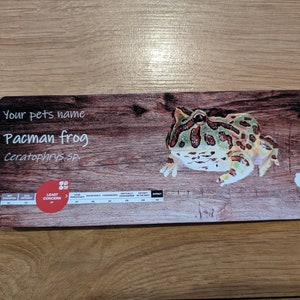 May include: A close-up of a Pacman frog, also known as a Ceratophrys sp., on a wooden background. The frog is green with brown spots and has a wide mouth. The text "Your pet's name Pacman frog Ceratophrys sp." is printed on the card.