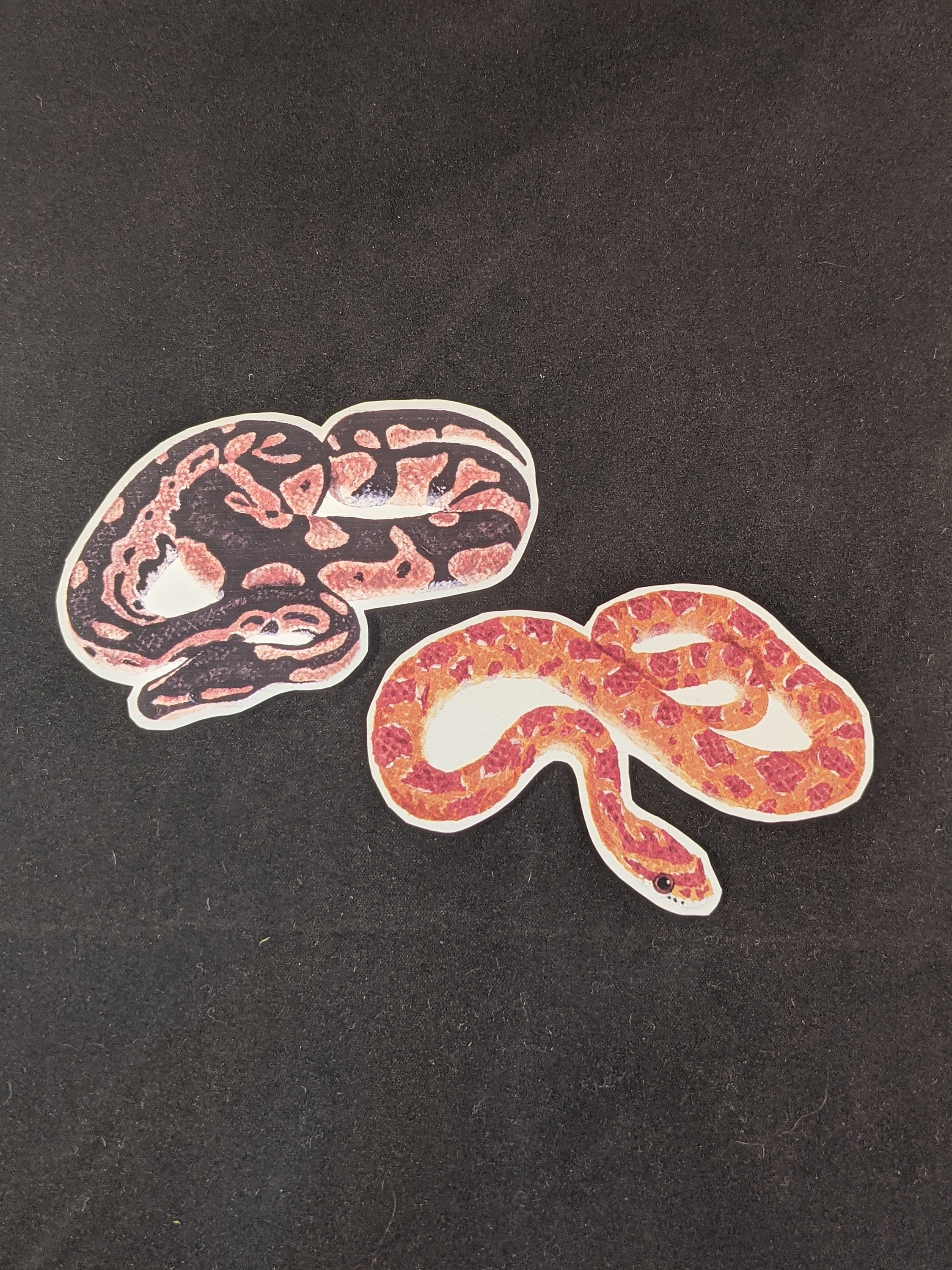 Royal Python Snake Sticker Animal Sticker Hand Painted Acrylic Sticker ...