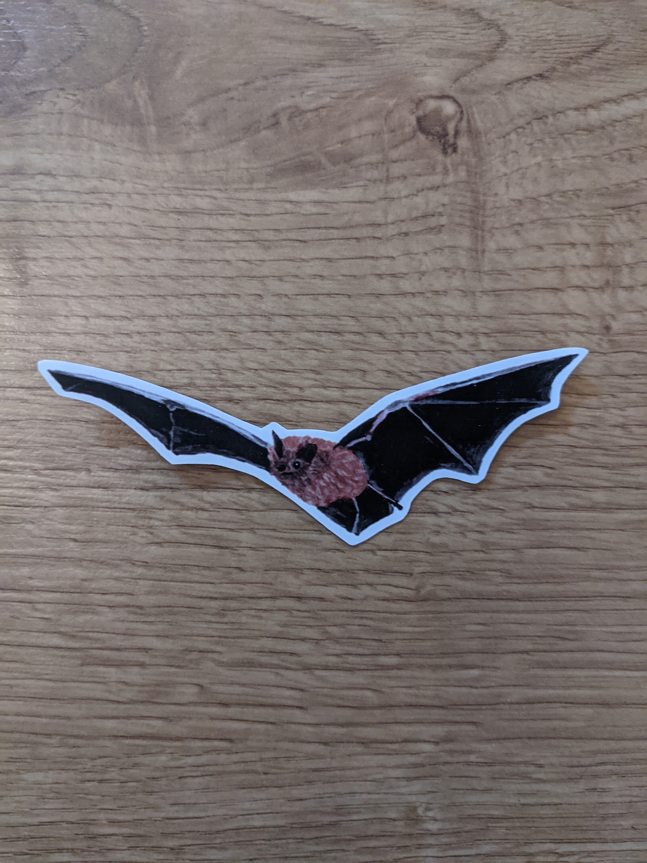 Pipistrelle Bat Custom Vinyl Sticker Hand Painted Acrylic Sticker
