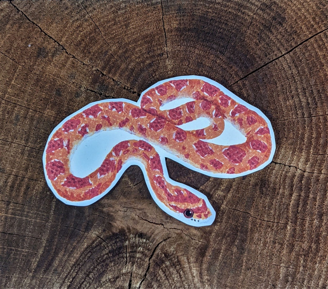 Corn Snake Vinyl Sticker Animal Sticker Hand Painted Acrylic Sticker ...