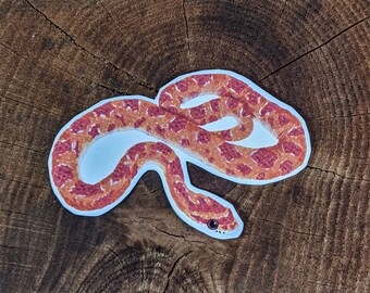 Corn Snake Vinyl Sticker Animal Sticker Hand Painted Acrylic Sticker Pet Portrait Pet Name Tags