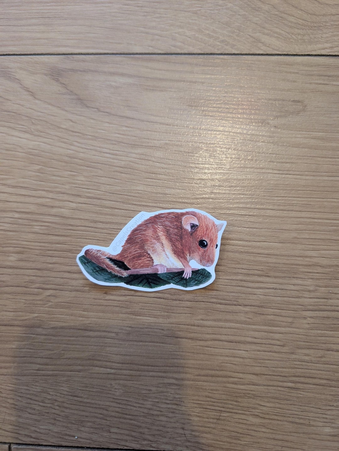 Hazel Dormouse Vinyl Sticker British Native Wildlife - Etsy UK