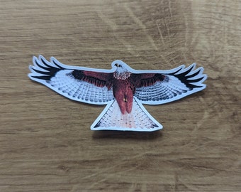 Red Kite Custom Sticker Animal Vinyl Sticker UK Wildlife Hand Painted Acrylic Sticker Nature Sticker Scrapbook Sticker Kids Sticker