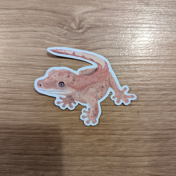 Crested Gecko Name Tag Sticker Vinyl Animal Sticker Hand Painted Acrylic Sticker Pet Portrait Pet Name Tags