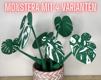 3D printed Monstera with magnetic leaves as a cup coaster - decoration - houseplant - plant