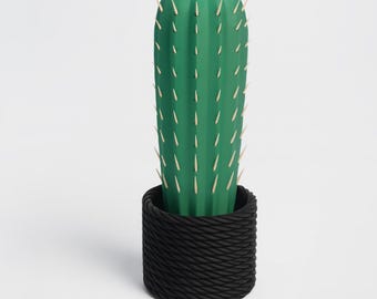 Kaktus Zahnstocher Spender mit Federmechanismus - cactus toothpick - Deko -  Zimmerpflanze - Pflanze - Etsy sterreich