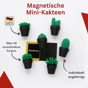 Magnetische mini-cactussen – plantmagneten, individuele kleurkeuze, decoratie voor koelkast en kantoor, perfect cadeau, 3D-geprint