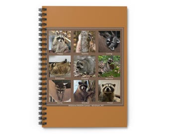 Waschbär Foto Spiralblock | Liniertes Journal